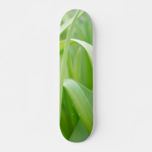 Verse groene plantenbladeren persoonlijk skateboard
