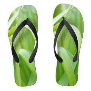 Verse groene plantenbladeren teenslippers