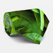 Verse groene spinaziesalade stropdas (Opgerold)