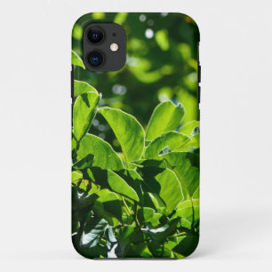 verse groene veerbladeren. fotografie van de natuu iPhone 11 hoesje