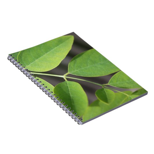  verse groene zomerasboombladeren. notitieboek (Rechterzijde)