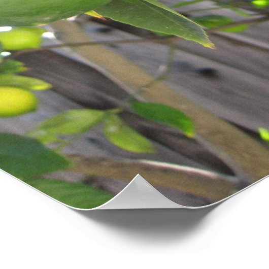 Verse kalveren poster (Hoek)