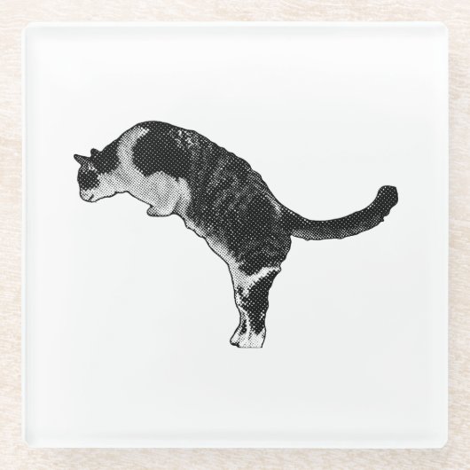 Verse kattenenergie glazen onderzetter (Voorkant)