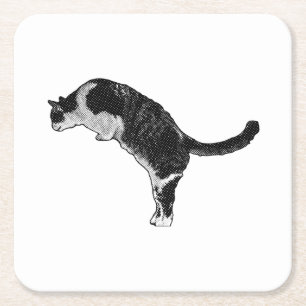 Verse kattenenergie kartonnen onderzetters