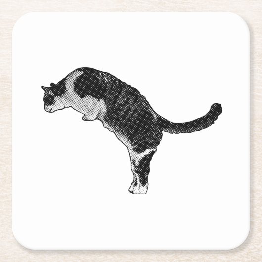 Verse kattenenergie kartonnen onderzetters (Voorkant)