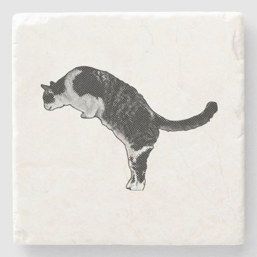 Verse kattenenergie stenen onderzetter (Voorkant)