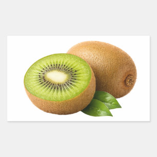 Verse Kiwi Schijf En Hele Vrucht Sticker