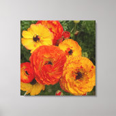 Verse klaprozen foto Stretched Canvas Print (Voorkant)