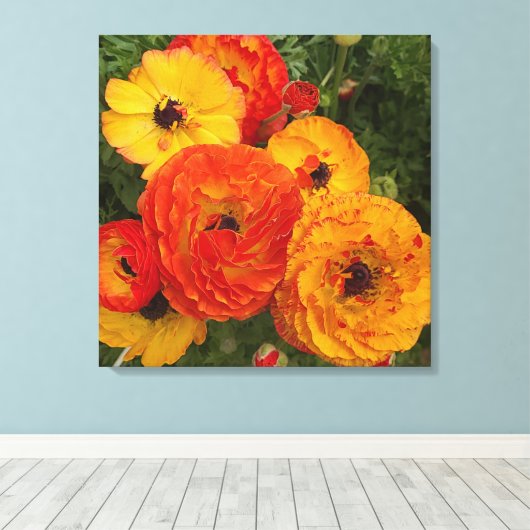 Verse klaprozen foto Stretched Canvas Print (Insitu (Houten vloer))