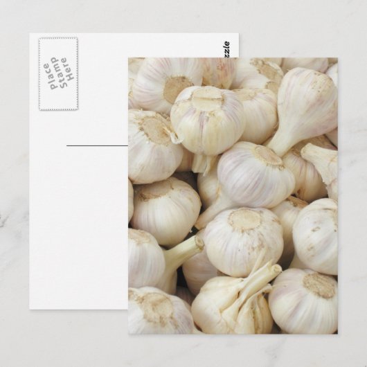 Verse knoflookbollen briefkaart (Voorkant / Achterkant)