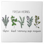 Verse kruiden Tijm Basilicum boerderij Tegeltje<br><div class="desc">Verse kruiden waaronder tijm,  basilicum,  salie,  rozemarijn & oregano op een eenvoudige witte achtergrond. Eenvoudige waterverf afbeelding werd gebruikt om deze boerderij keramische tegel te maken.</div>
