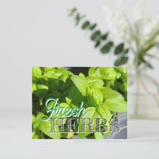 VERSE KRUIDEN Tuin Basil Recept Inblikken Briefkaart (Staand voorkant)
