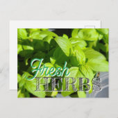 VERSE KRUIDEN Tuin Basil Recept Inblikken Briefkaart (Voorkant / Achterkant)