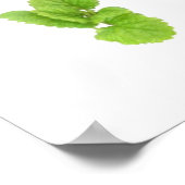 Verse kruidenlijst van meest gebruikte kruiden hom poster (Hoek)