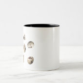 verse kwarteleieren, geïsoleerd op witte achtergro tweekleurige koffiemok (Center)