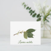 Verse laurierbladeren briefkaart (Staand voorkant)