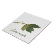 Verse laurierbladeren tegeltje (Zijkant)