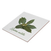 Verse laurierbladeren tegeltje (Zijkant)