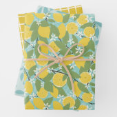 Verse lemmetjes Citrus Wrapping Paper set 3 (In situ)