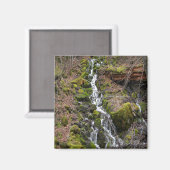 Verse lente.... magneet (Voorkant / Achterkant)