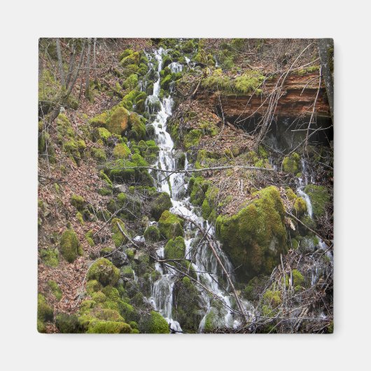 Verse lente.... magneet (Voorkant)