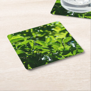 verse lente, zomers groen blad papier coasters. kartonnen onderzetters