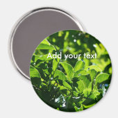 Verse lentegroenbladeren. natuur fotografie. magneet (Voorkant / Achterkant)