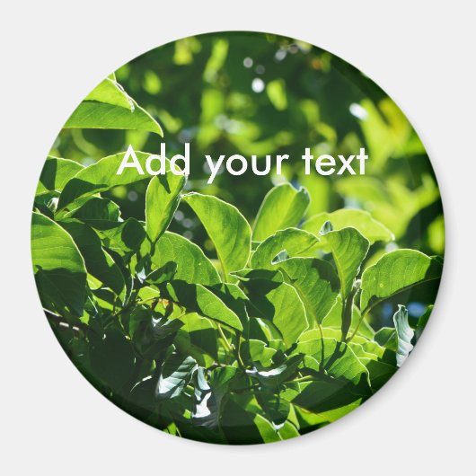 Verse lentegroenbladeren. natuur fotografie. magneet (Voorkant)