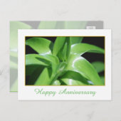 Verse lentegroenolifant vertrekt blijdschap briefkaart (Voorkant / Achterkant)