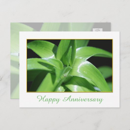 Verse lentegroenolifant vertrekt blijdschap briefkaart (Voorkant / Achterkant)