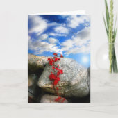 Verse lucht kaart (Voorkant)