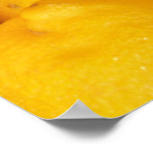 Verse luiers poster (Hoek)