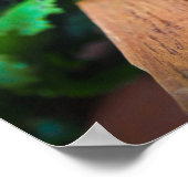 Verse Oogst Bieten Verweerd Houten Tafel Poster (Hoek)