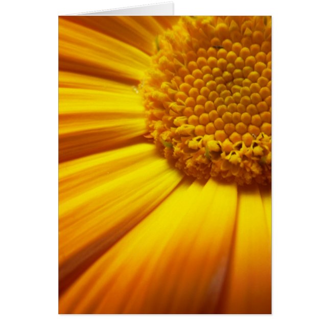 Verse Oranje Kaart (Voorkant)