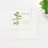 VERSE OREGANO 2.5 Zakelijke kaart (Bureau)