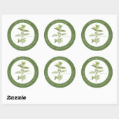 VERSE OREGANO Grote Ronde Envelop Afdichtingen - G Ronde Sticker (Vel)