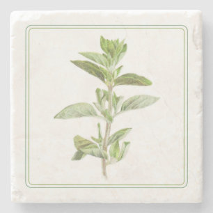 VERSE OREGANO Marmeren Stenen Onderzetter