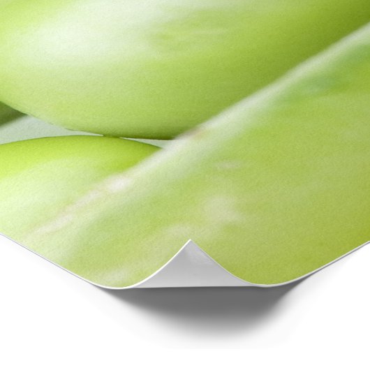 Verse organische erwten poster (Hoek)