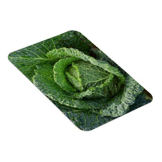 Verse organische kool magneet (Rechterzijde)