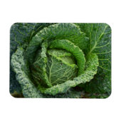 Verse organische kool magneet (Horizontaal)