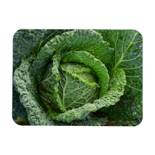 Verse organische kool magneet (Horizontaal)