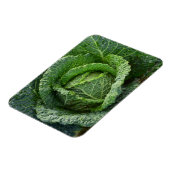 Verse organische kool magneet (Linkerzijde)