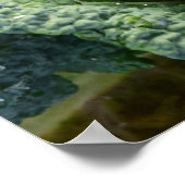 Verse organische kool poster (Hoek)