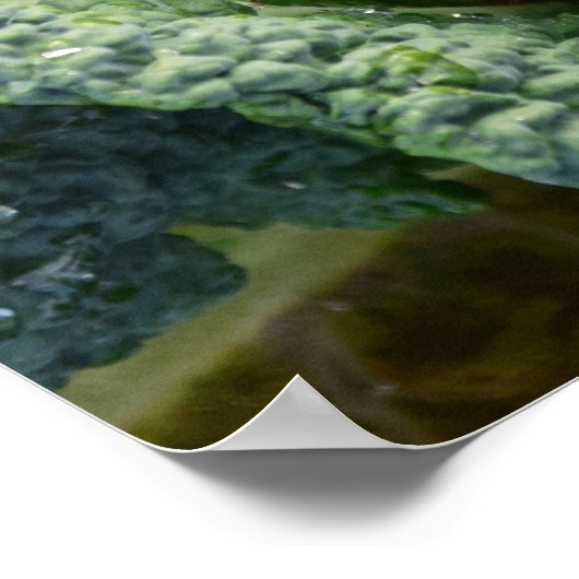 Verse organische kool poster (Hoek)