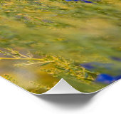 Verse perfecte Poster voor vochtige vogelfluitbijb (Hoek)