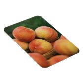 Verse perziken magneet (Rechterzijde)