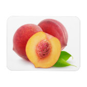 Verse perziken magneet (Horizontaal)