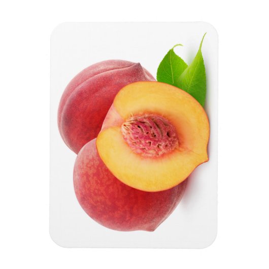 Verse perziken magneet (Verticaal)