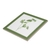 VERSE PETERSELIE 4.25x4.25 Keramische Tegel (-teks Tegeltje (Zijkant)