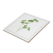 VERSE PETERSELIE 4.25x4.25 Keramische Tegel (-teks Tegeltje (Zijkant)